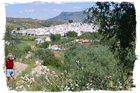 El Burgo, das weiße Dorf