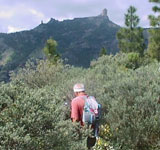 Roque Nublo auf Gran Canaria